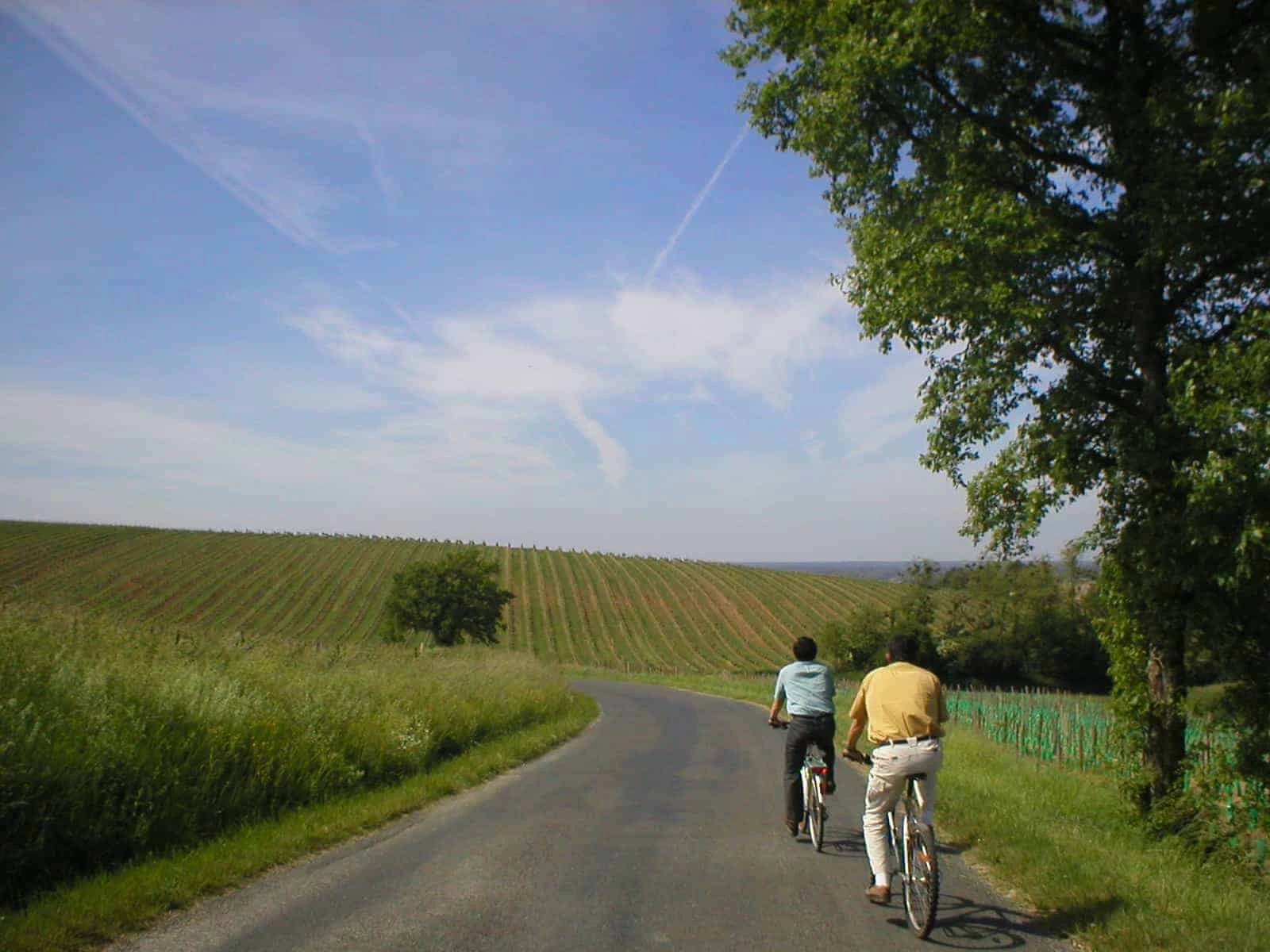 bordeaux-vineyards-route-des-grands-crus